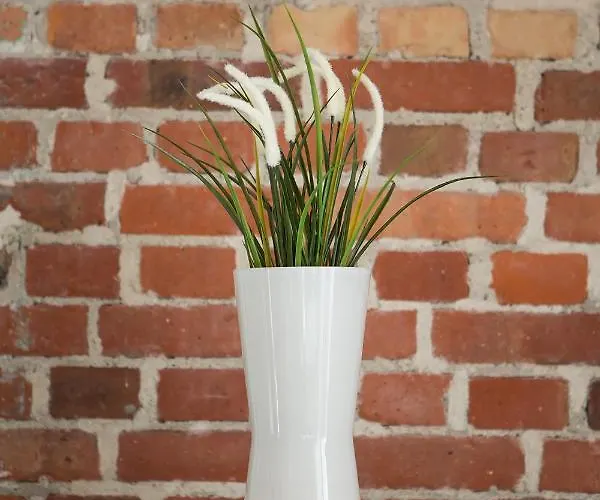 Living Apartment Poznan